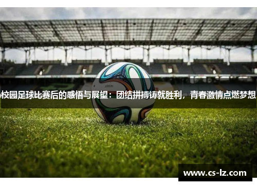 校园足球比赛后的感悟与展望：团结拼搏铸就胜利，青春激情点燃梦想