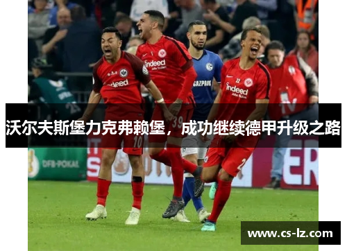 沃尔夫斯堡力克弗赖堡，成功继续德甲升级之路